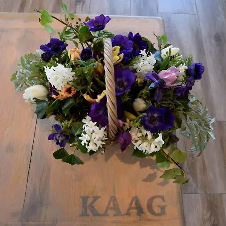 Villa Luxurious With Private Garden In *